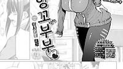 잉꼬부부